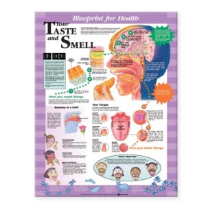Blueprint For Health Your Taste And Smell Chart