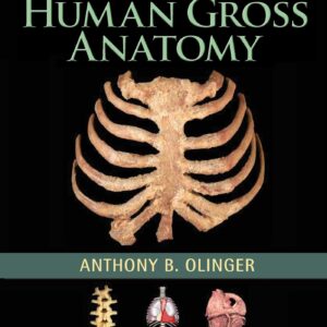 Human Gross Anatomy