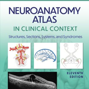 Neuroanatomy Atlas in Clinical Context: Structures