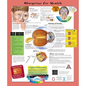 Blueprint For Health Your Eyes Chart