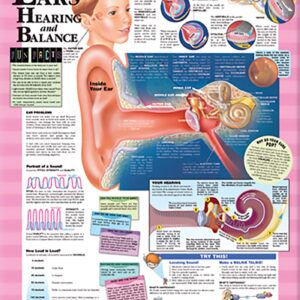 Blueprint For Health Your Ears Chart