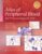 Atlas of Peripheral Blood: The Primary Diagnostic Tool – ISBN-10: 0781777801