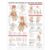 ACC Anatomy and Injuries of The Hand and Wrist Anatomical Chart, 20.00″ x 26.00″ – ISBN-10: 1587799138