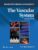 The Vascular System (Lippincott Connect) – ISBN-10: 1975175263