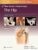 Master Techniques in Orthopaedic Surgery: The Hip: Print + eBook with Multimedia – ISBN-10: 1975222008