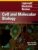 Lippincott Illustrated Reviews: Cell and Molecular Biology (Lippincott Illustrated Reviews Series) – ISBN-10: 1975180895