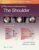 Master Techniques in Orthopaedic Surgery: The Shoulder: Print + eBook with Multimedia – ISBN-10: 1975217969