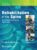 Rehabilitation of the Spine: A Patient-Centered Approach – ISBN-10: 1496339401
