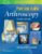 Foot & Ankle Arthroscopy – ISBN-10: 0781783410