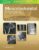 Musculoskeletal Imaging: The Essentials (Essentials Series) – ISBN-10: 1496383834