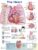 The Heart Anatomical Chart – ISBN-10: 1496369629